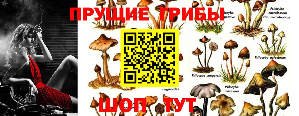 даркнет сайт  Галлюциногенные грибы мухоморы  Вход с VPN  Сафоново 