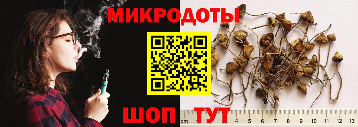 Псилоцибиновые грибы Cubensis Сафоново